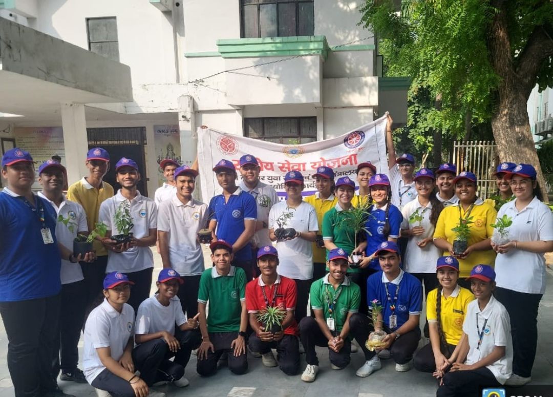 About University Model School